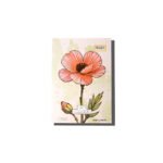 Graphic Happy Notebooks